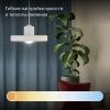 Вид 6